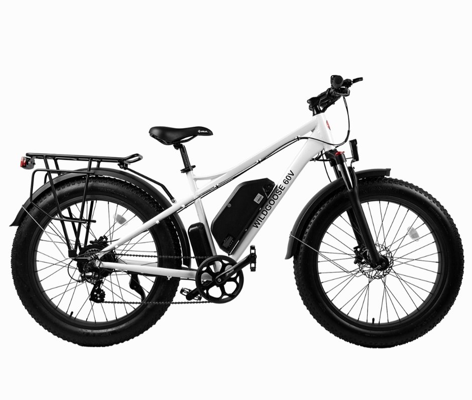 2023 Daymak Wild Goose Sport