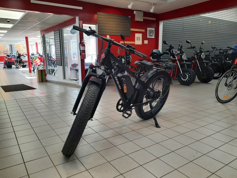 Daymak Wild Goose Electric Bike 9999