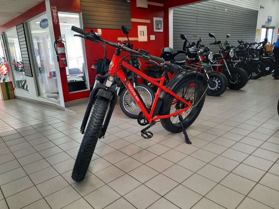 Daymak Wild Goose Electric Bike 9999