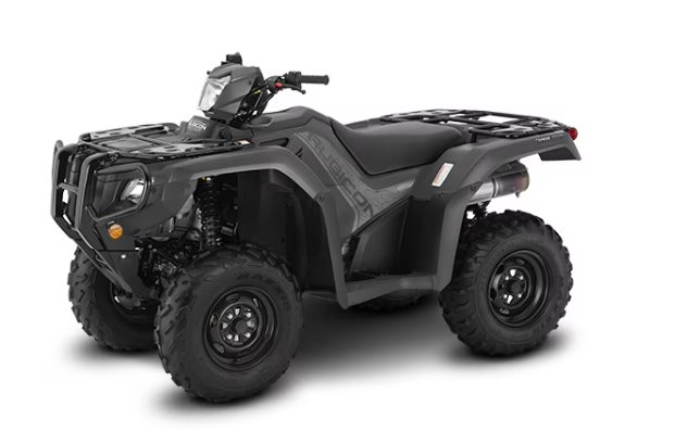 2025 Honda ATV RUBICON RUBICON FOOT SHIFT