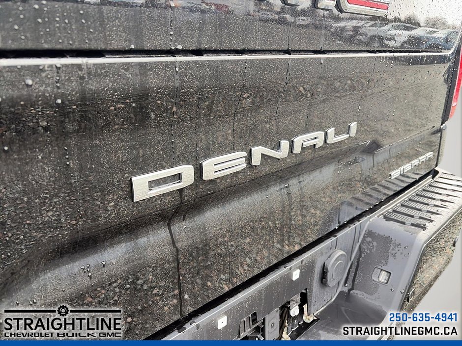 2025 GMC Sierra 1500 Denali-28