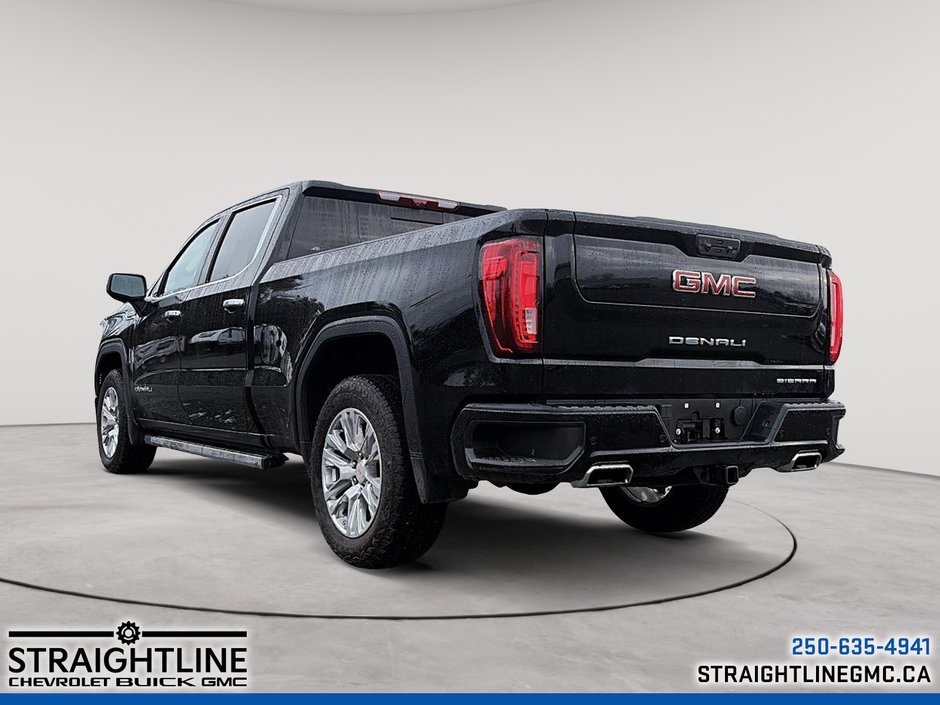2025 GMC Sierra 1500 Denali-3