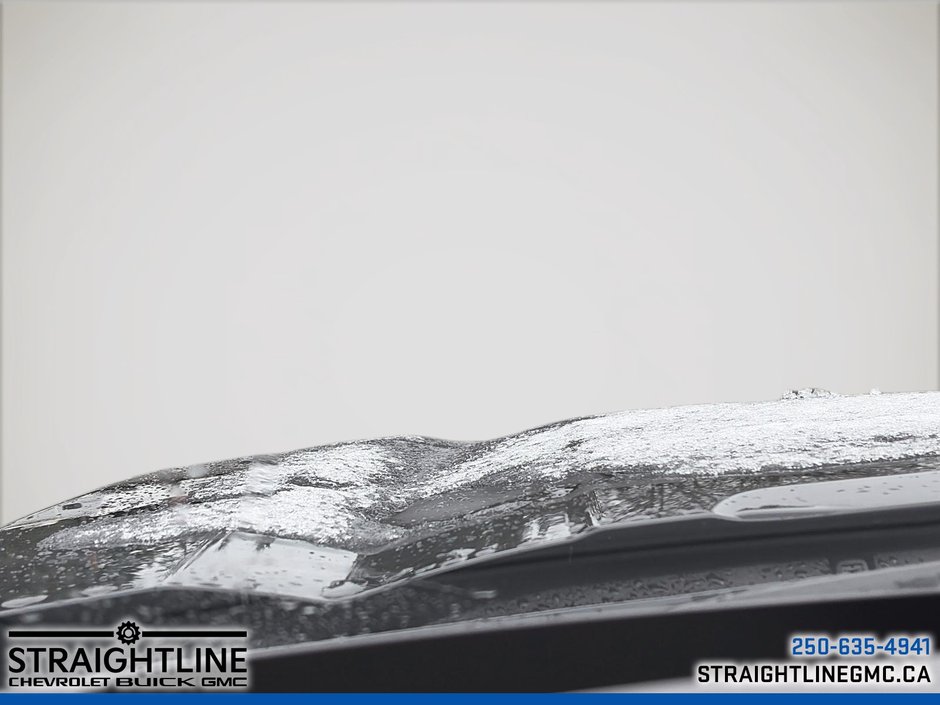 2025 GMC Sierra 1500 Denali-29