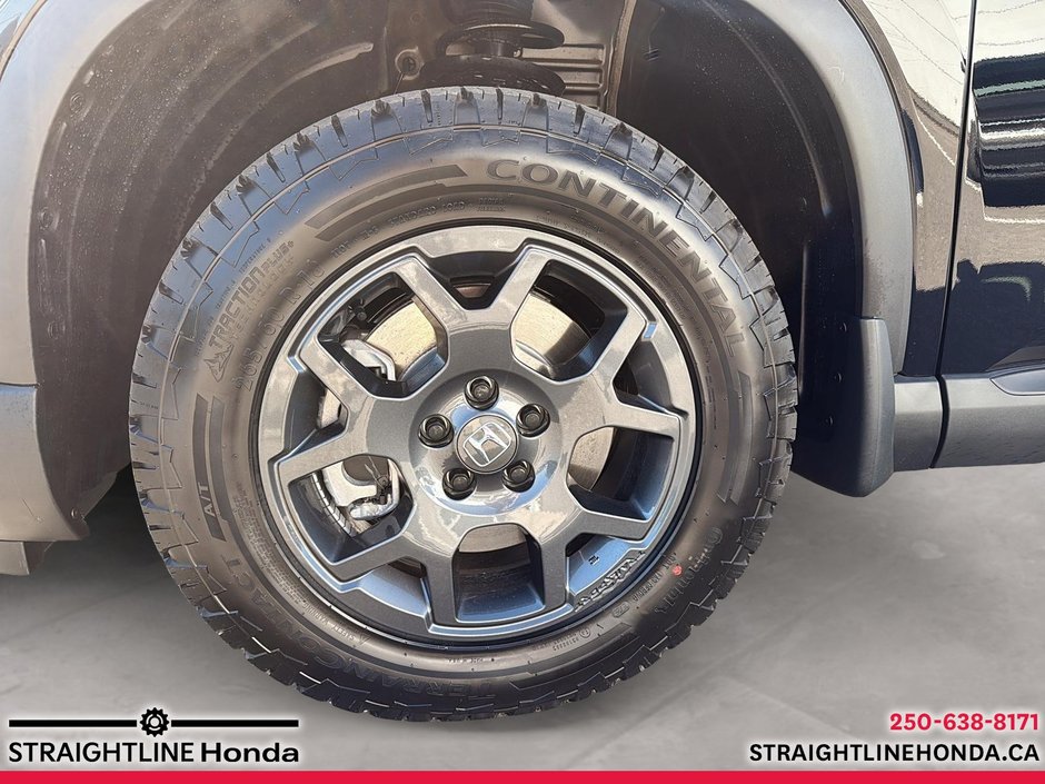 2025 Honda Pilot TRAILSPORT-7