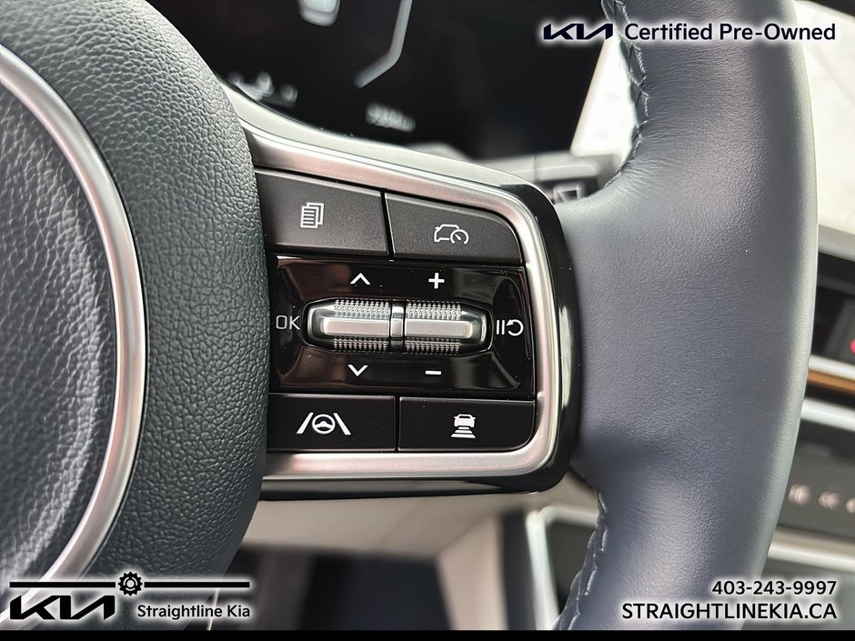 2026 Kia CARNIVAL SX+-22