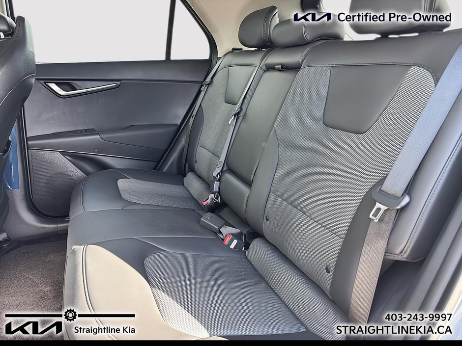 2025 Kia NIRO EV WIND+-19