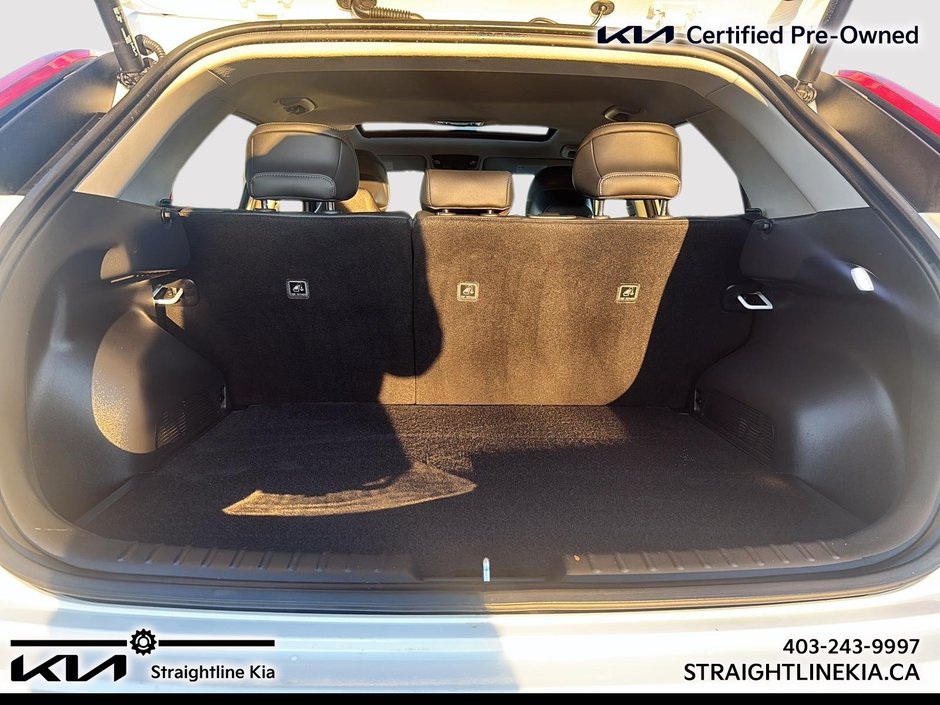 2023 Kia NIRO EV LIMITED-7