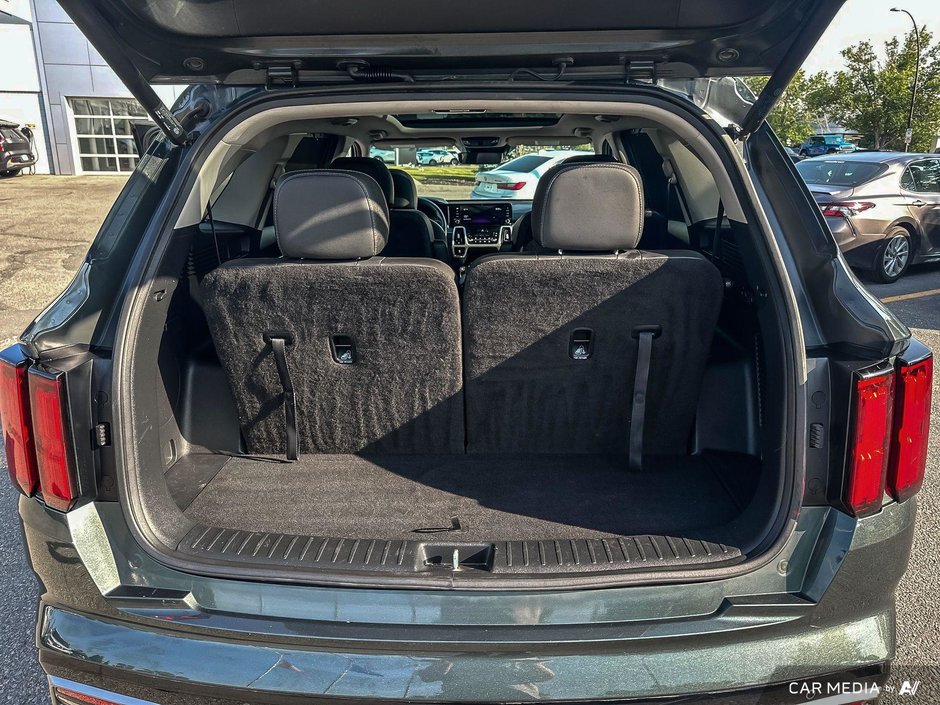 2021 Kia Sorento EX+-20