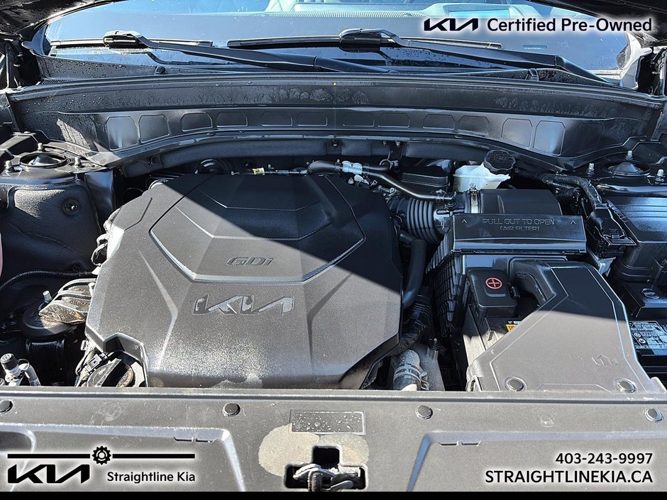 2023 Kia TELLURIDE X-PRO-6