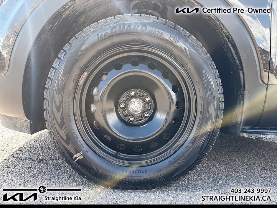 2022 Kia Telluride NIGHTSKY-6