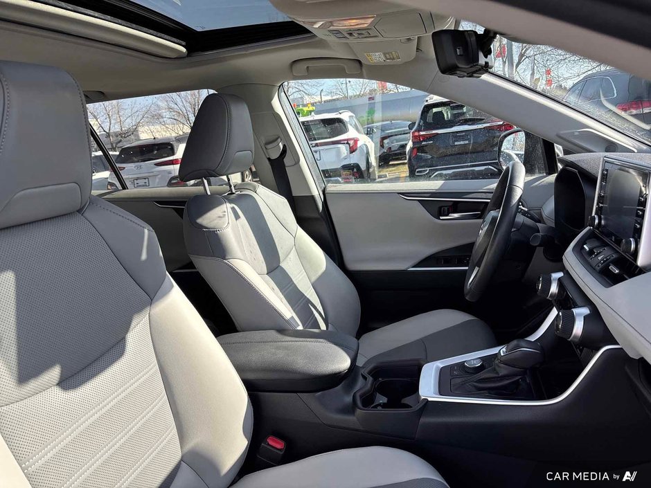 2019 Toyota RAV4 LIMITED-8