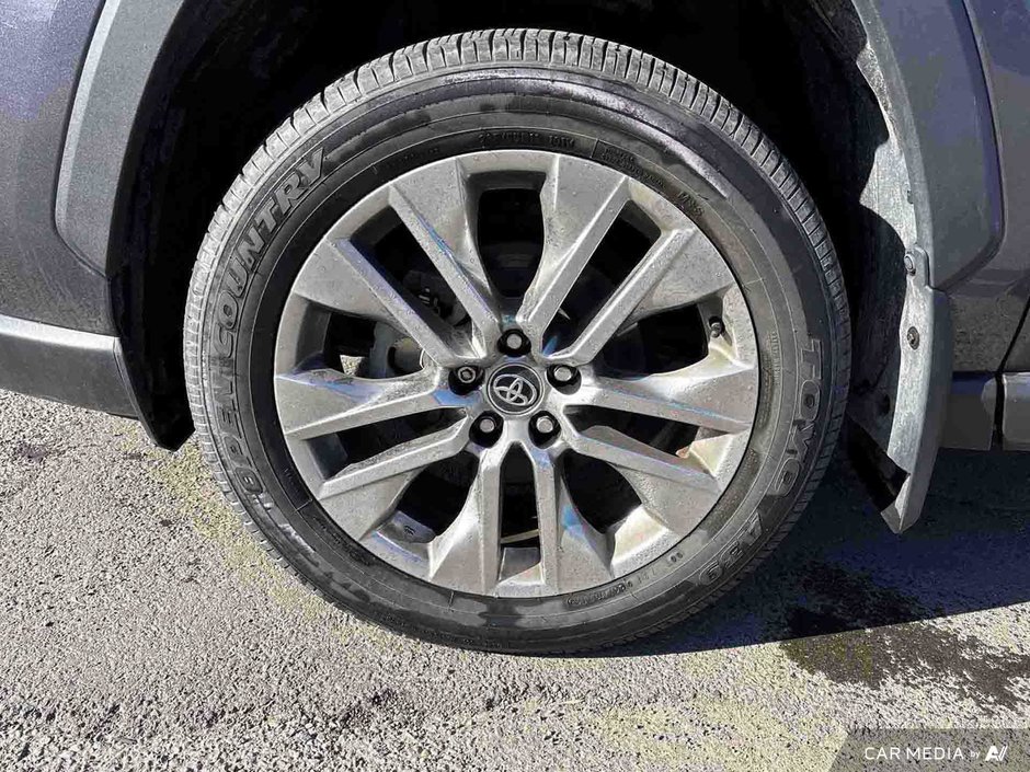 2019 Toyota RAV4 LIMITED-4