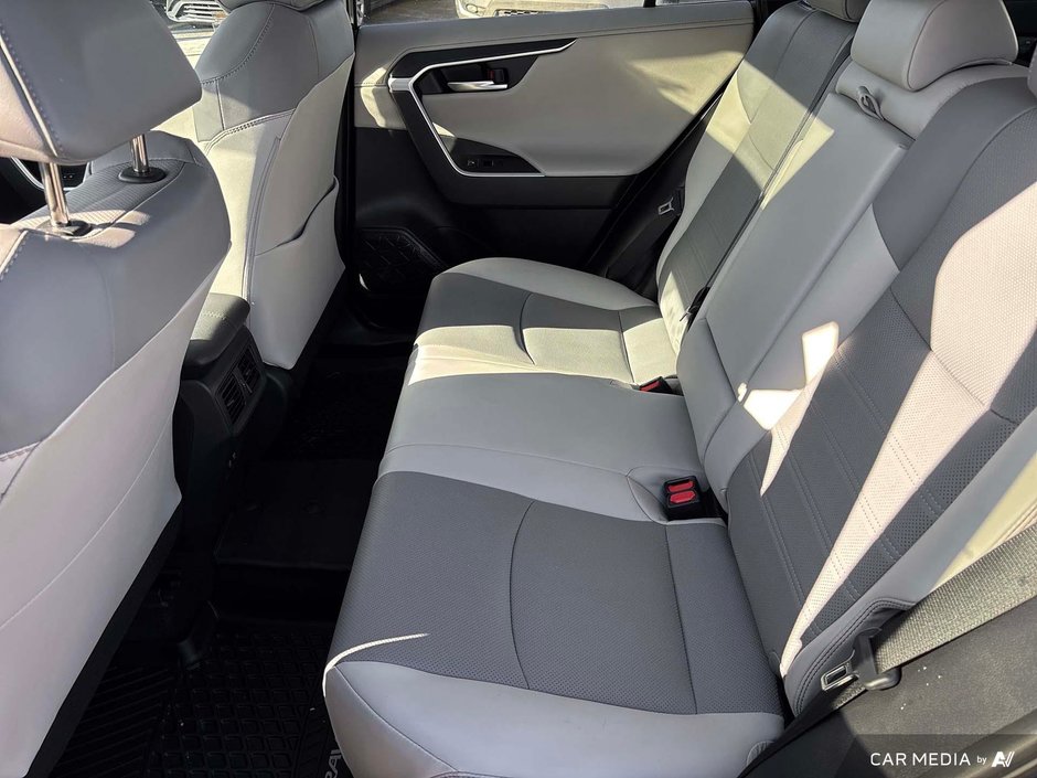 2019 Toyota RAV4 LIMITED-12