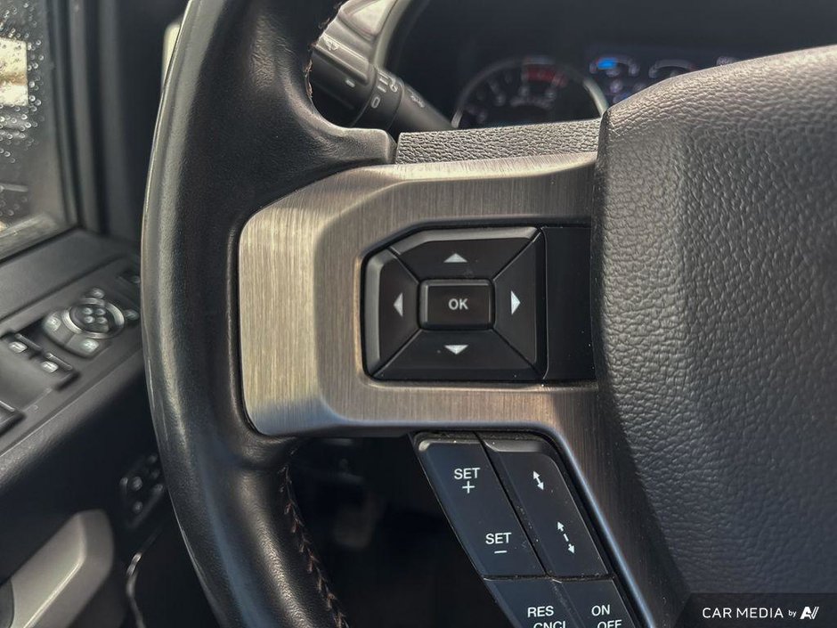 2020 Ford Super Duty F-350 SRW Platinum-9