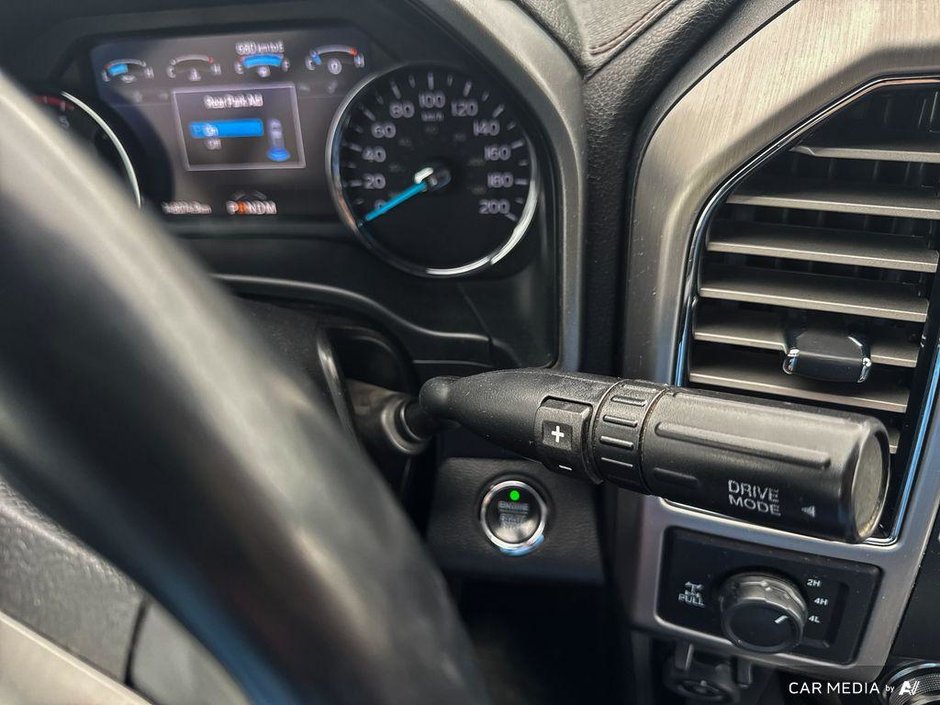 2020 Ford Super Duty F-350 SRW Platinum-13