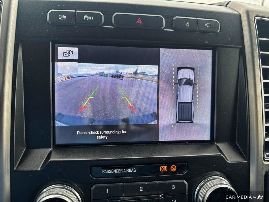 2020 Ford Super Duty F-350 SRW Platinum-12