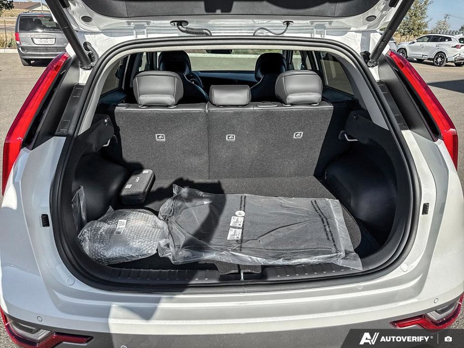 2026 Kia Niro EV Wave-8