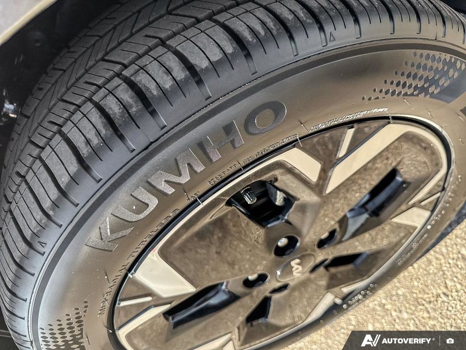 2026 Kia Niro EV Wave-9