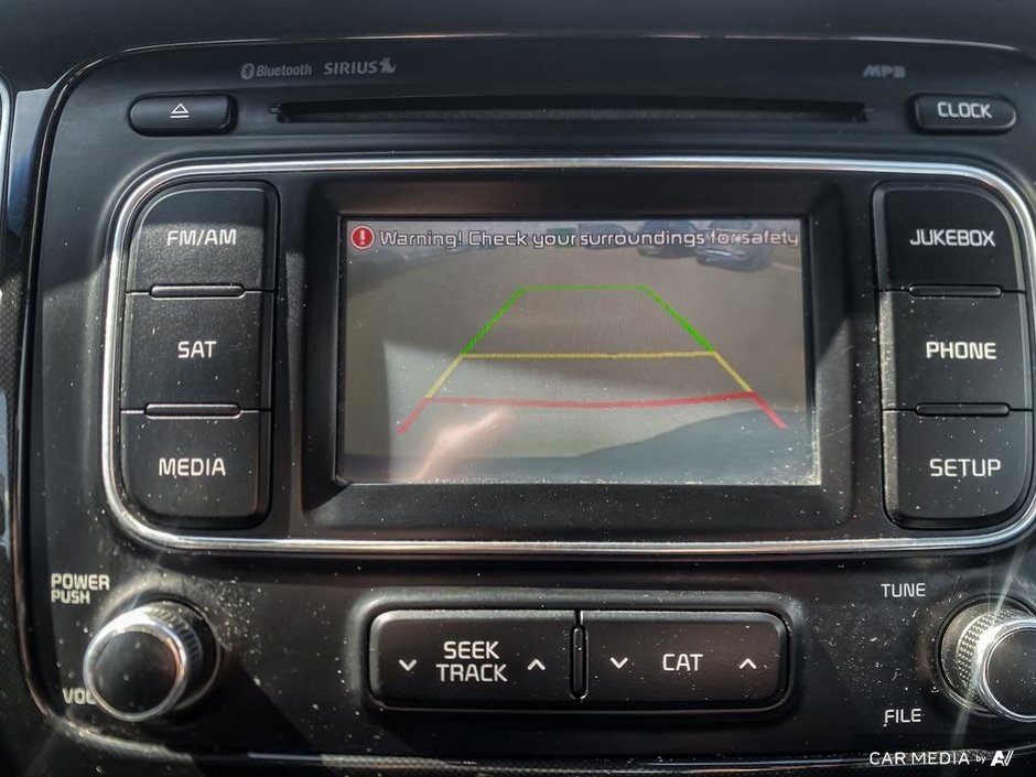 2014 Kia Rondo EX-17