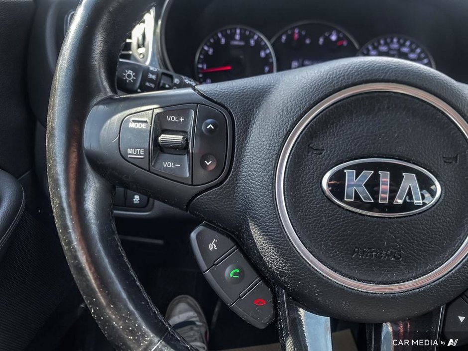 2014 Kia Rondo EX-14
