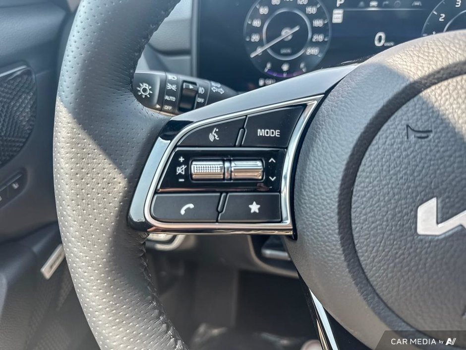 2025 Kia Seltos X-LINE-15