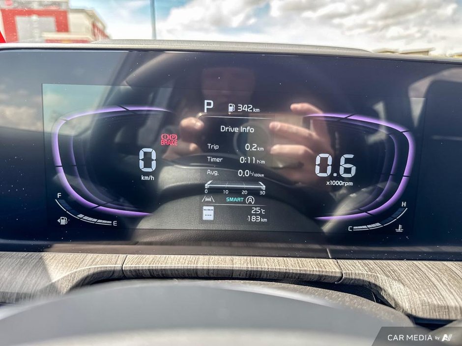 2025 Kia Telluride EX-12