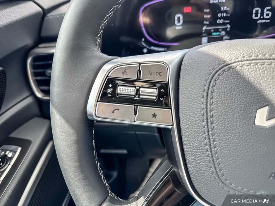 2025 Kia Telluride EX-14
