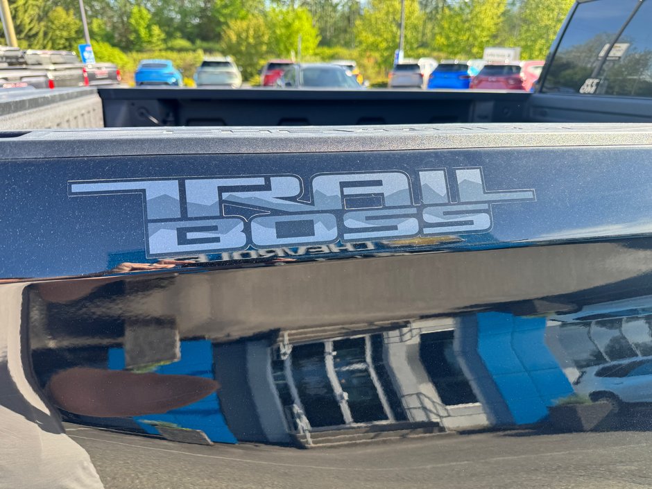 2024 Chevrolet Silverado 1500 Custom Trail Boss-5