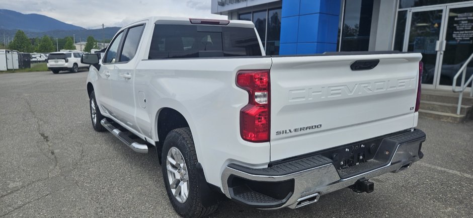 2025 Chevrolet Silverado 1500 LT-18