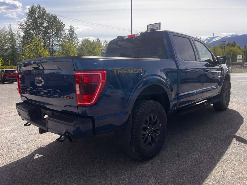 2022 Ford F-150 Tremor-6