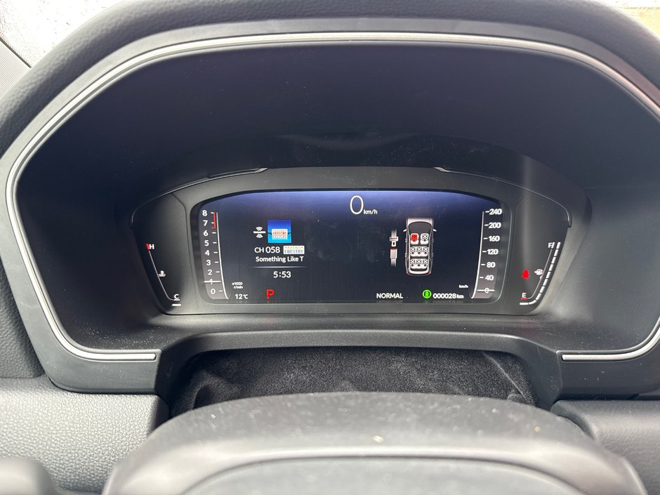2025 Honda Pilot BLACK EDITION-11