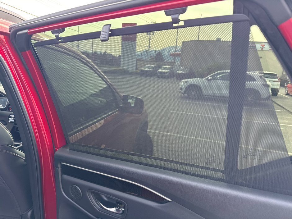 2025 Honda Pilot BLACK EDITION-20