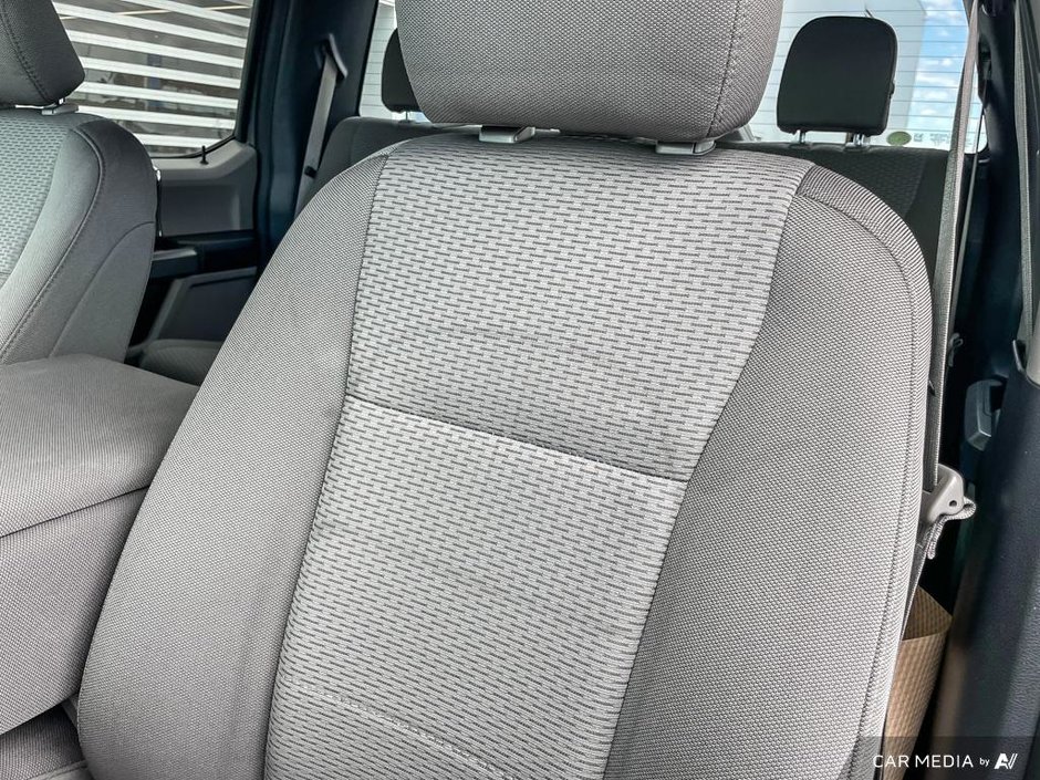 2019 Ford F-150 XLT-19