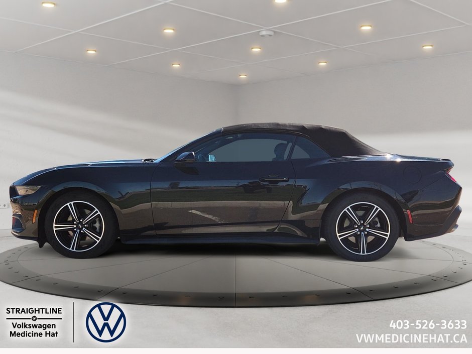 2025 Ford Mustang EcoBoost Convertible-4