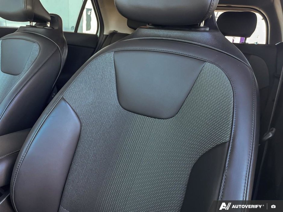 2023 Kia Niro EV Premium+-19