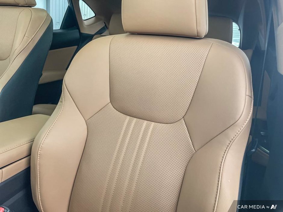 2023 Lexus NX 350-19