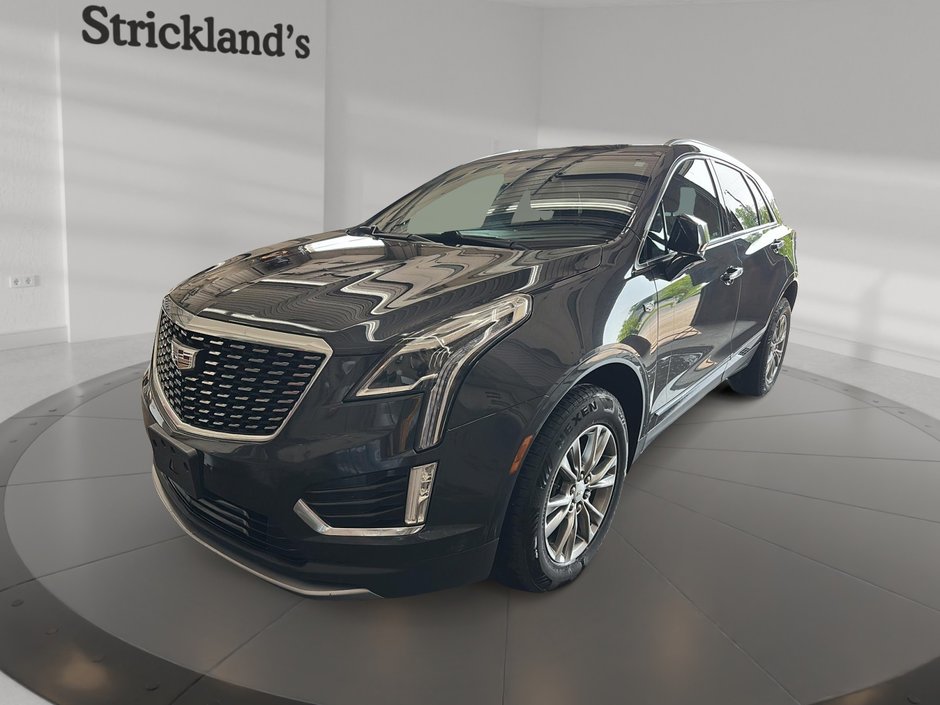 2022 Cadillac XT5 Premium Luxury AWD in Stratford, Ontario