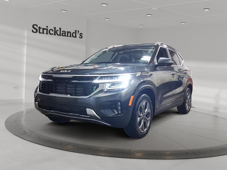 2024 Kia Seltos EX AWD in Stratford, Ontario