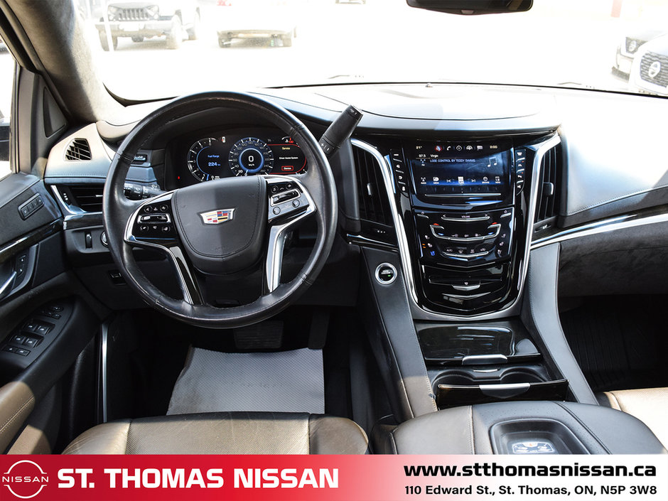 2019 Cadillac Escalade PLATINUM-12