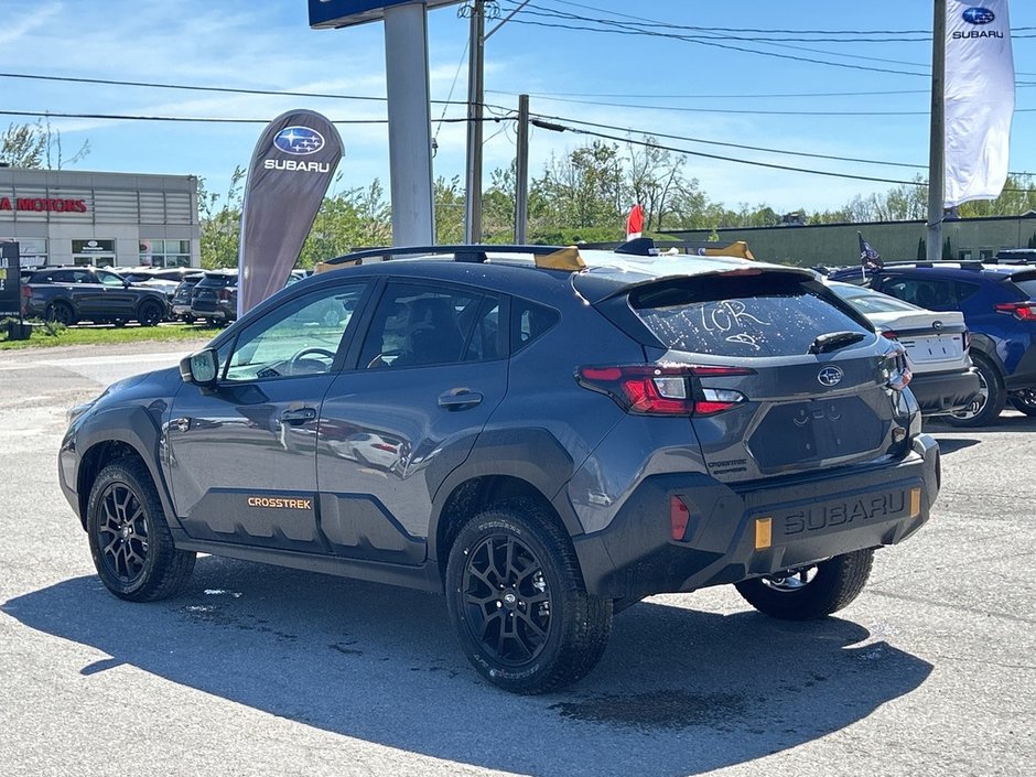 2025 Subaru Crosstrek Wilderness-2