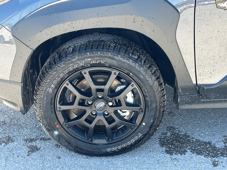 2025 Subaru Crosstrek Wilderness-8