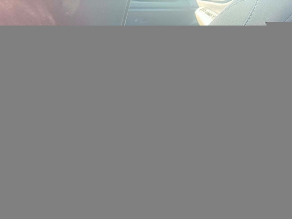 2020 Subaru OUTBACK CONVENIENCE | CONVENIENCE | ADAPTIVE CRUISE | BLUETOOTH | PADDLE SHIFTERS |