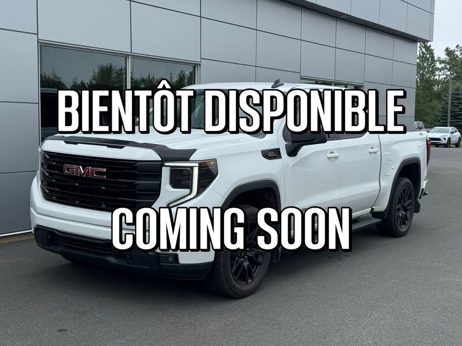 2024 GMC Sierra 1500 Elevation in Tracadie-Sheila, New Brunswick - w940px