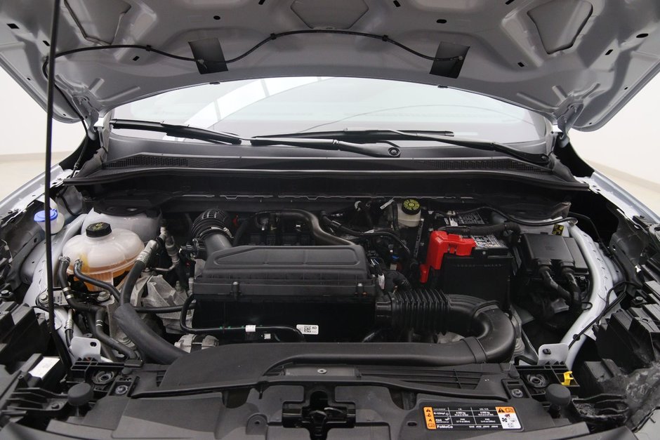 Ford Escape ST-Line 2025-13