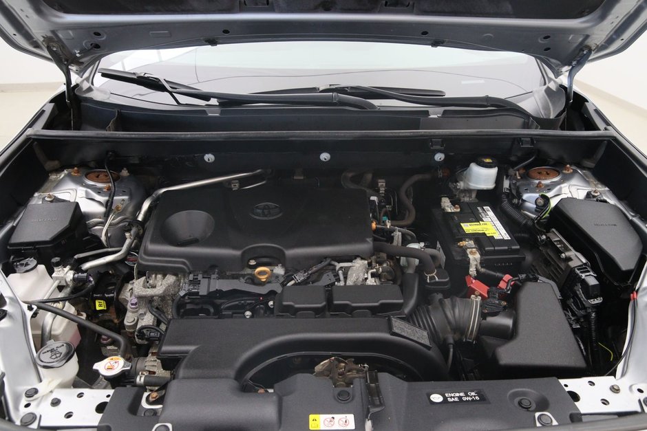Toyota RAV4 LE 2020-14
