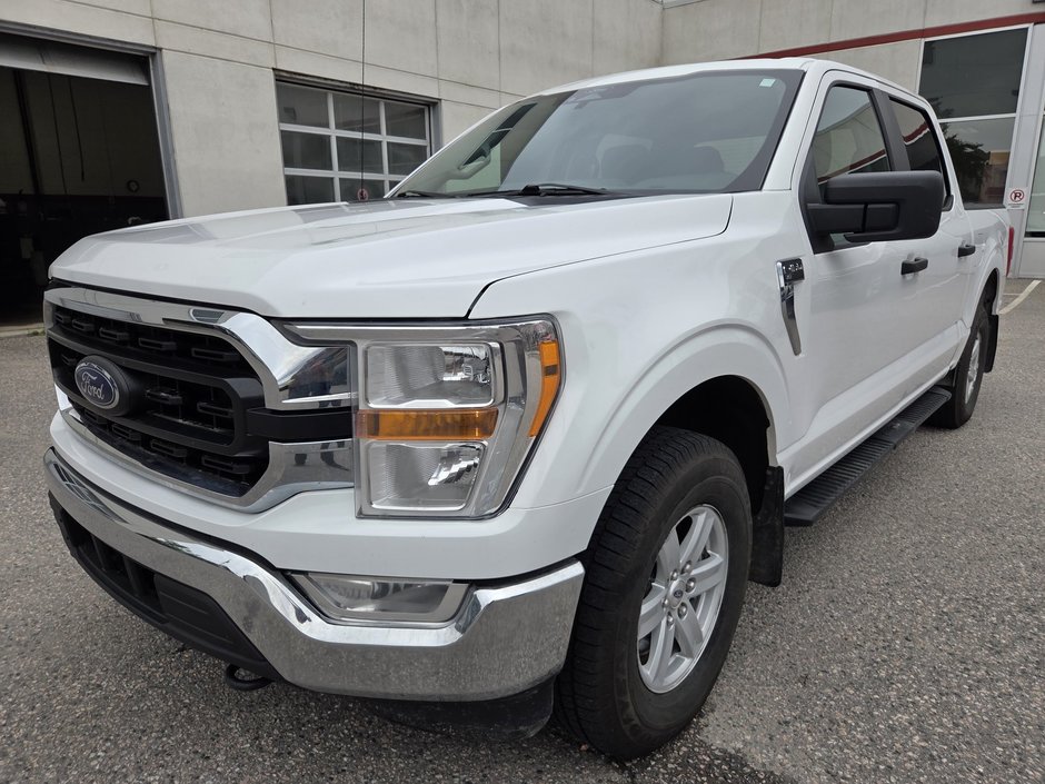Ford F-150 XLT 4x4 2021 à Mont-Laurier, Québec - w940px