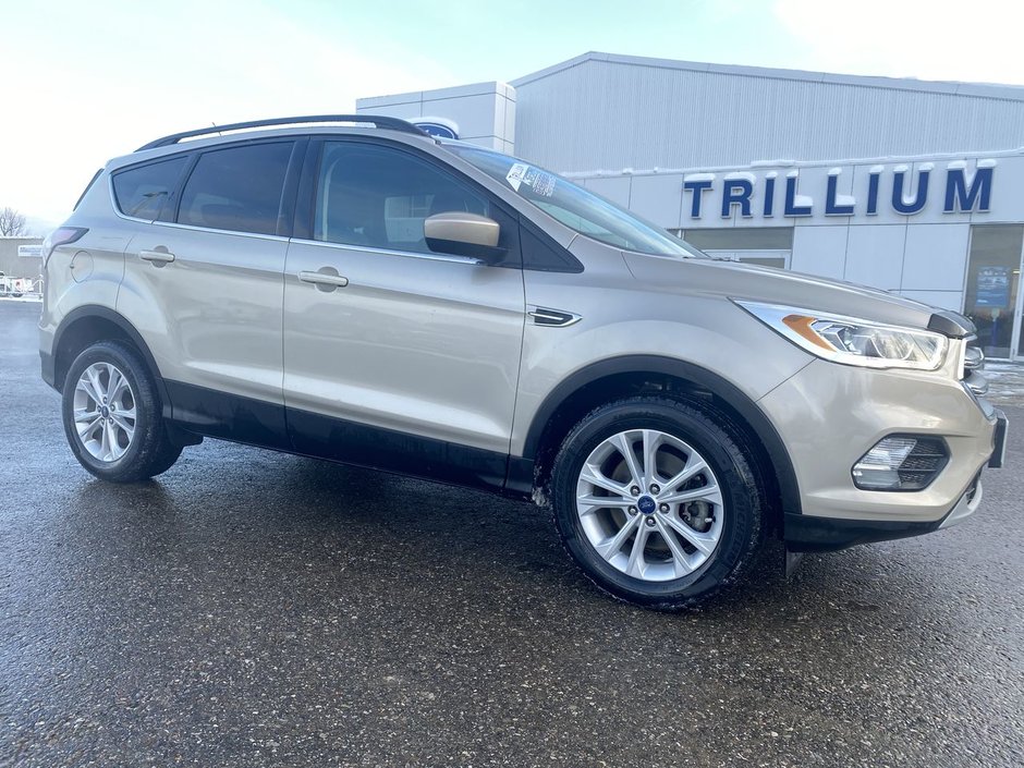 2017 Ford Escape SE in Alliston, Ontario