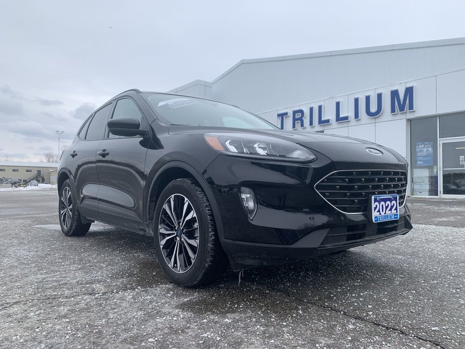 Ford Escape SEL 2022 à Alliston, Ontario