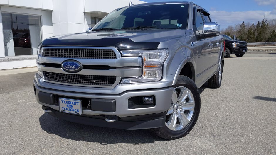 Tusket Ford 2020 Ford F 150 4x4 Platinum 145 20102