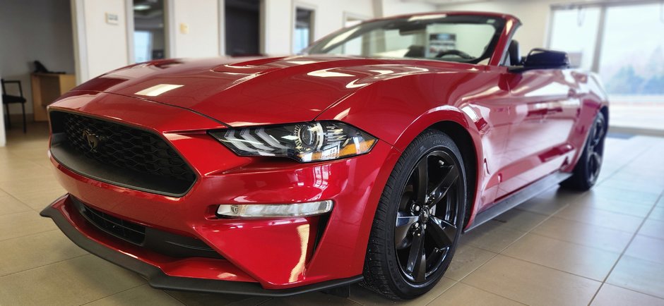 2021 Ford Mustang ECOBOOST-0